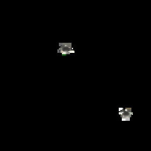 Meet your Posher, Maegan